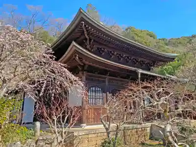 瑞泉寺の本殿・本堂
