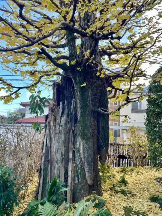 安養寺(東京都)
