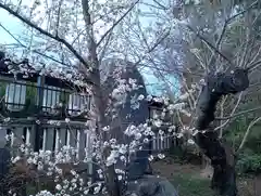 阿部野神社の自然