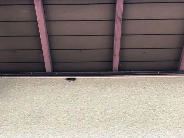 石内のお大師さん 金剛院(広島県)