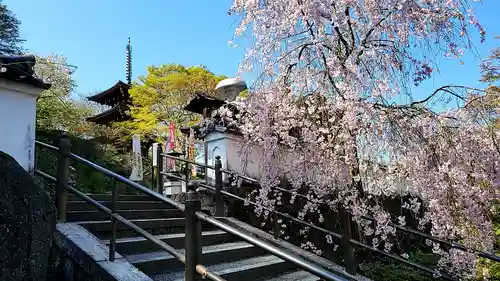 岡寺（龍蓋寺）(奈良県)