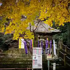 下野 星宮神社の建物その他