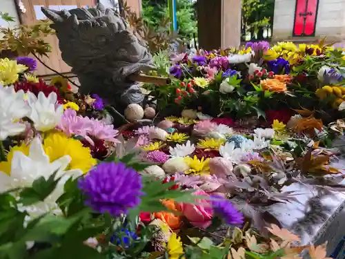 滑川神社 - 仕事と子どもの守り神の手水