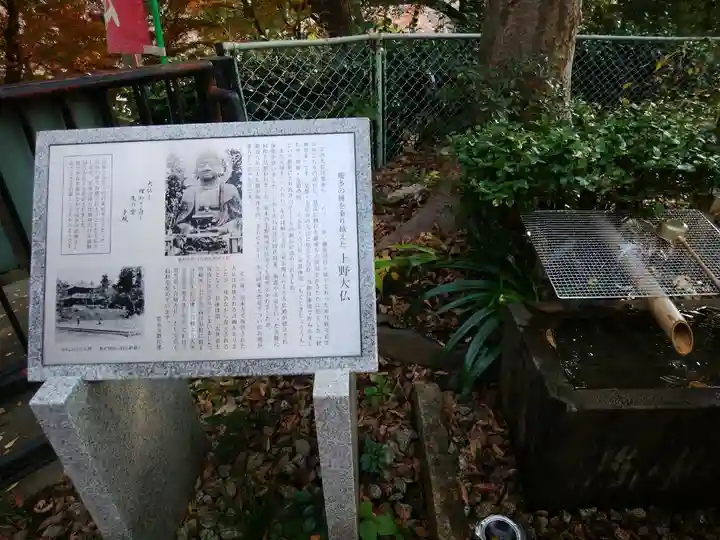 上野大佛の歴史