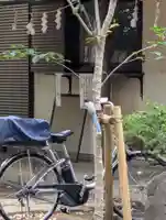 白幡八幡神社(神奈川県)