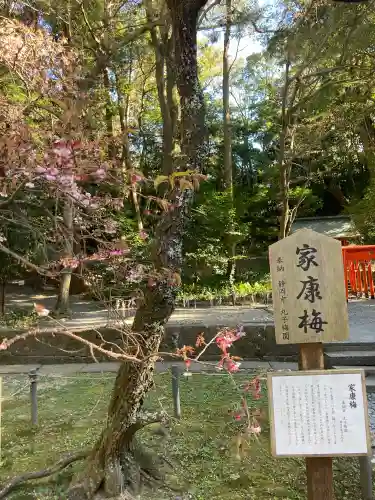 久能山東照宮の{uncategorized: "未分類", other: "その他", undefined: "問題あり", building: "その他建物", grave: "お墓", sacred_gate: "鳥居", guardian: "狛犬", statue: "像", buddha: "仏像", history: "歴史", nature: "自然", garden: "庭園", animal: "動物", pagoda: "塔", temizu: "手水舎", mountain_gate: "山門・神門", sanctuary: "本殿・本堂", subordinate: "末社・摂社", art: "芸術", scenery: "景色", jizo: "地蔵", ema: "絵馬", goshuin: "御朱印", omikuji: "おみくじ", items: "授与品その他", amulet: "お守り", goshuincho: "御朱印帳", eats: "食事", festival: "お祭り", votive_dance: "神楽", shichigosan: "七五三参", wedding: "結婚式", experience: "体験その他", initially: "初詣", around: "周辺", anti_infection: "感染症対策"}