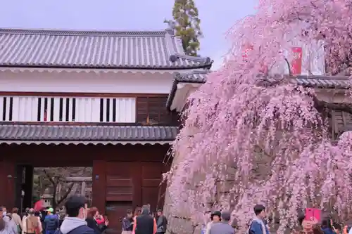 眞田神社の建物その他