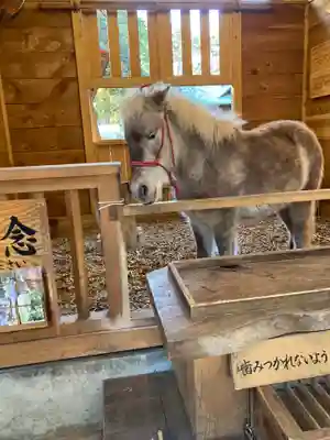 平塚八幡宮(神奈川県)