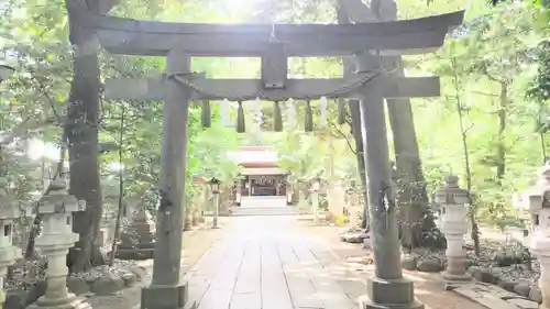 駒木諏訪神社の鳥居