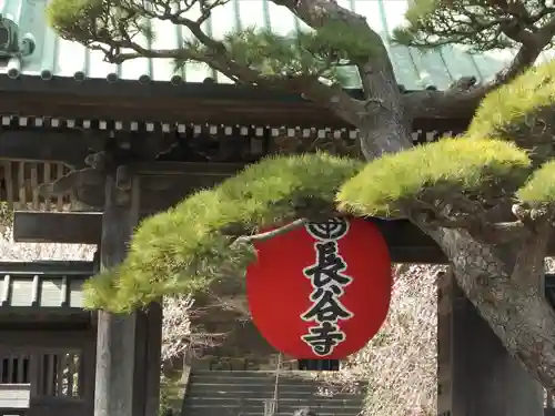 長谷寺の山門・神門