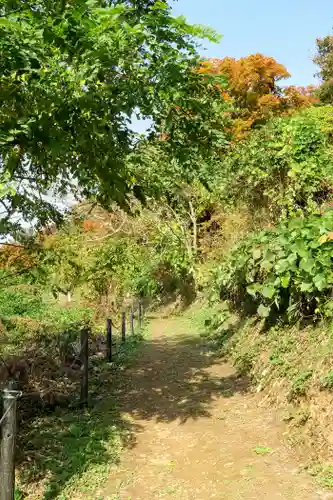 虻田神社の自然