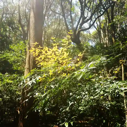 鹿島神宮の自然
