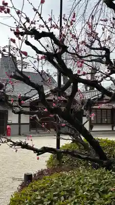 久我神社（賀茂別雷神社摂社）(京都府)