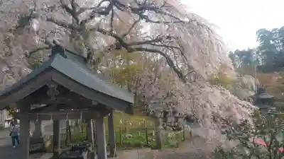 南湖神社(福島県)
