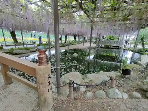 津島神社の周辺