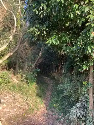 大歳神社の周辺