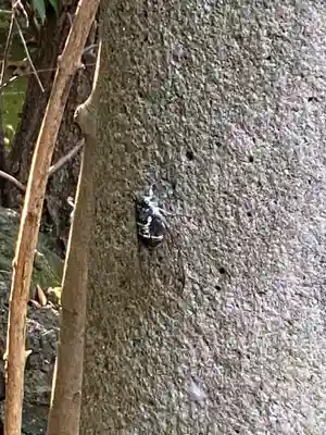 赤坂氷川神社(東京都)