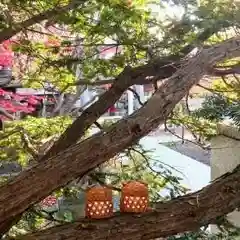 彌彦神社　(伊夜日子神社)(北海道)