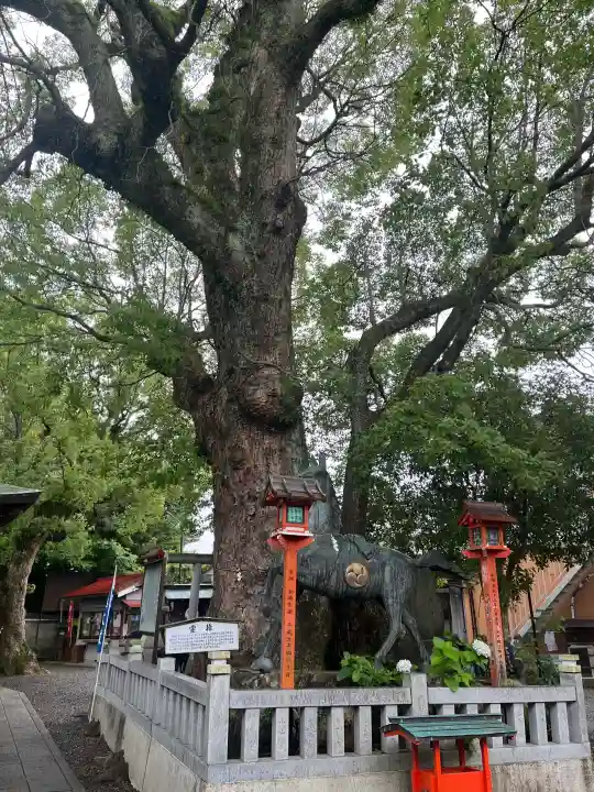 蟻通神社(和歌山県)