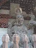 廣隆寺(京都府)