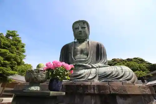 高徳院(神奈川県)