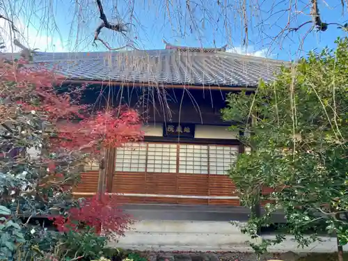 地蔵院（椿寺）(京都府)