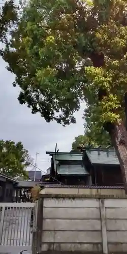 神明社・八幡社合殿（中杉町）の本殿・本堂