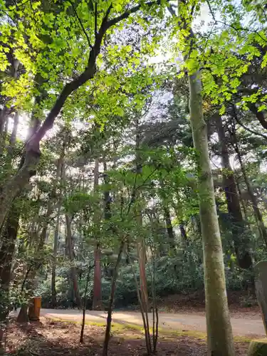 鹿島神宮(茨城県)
