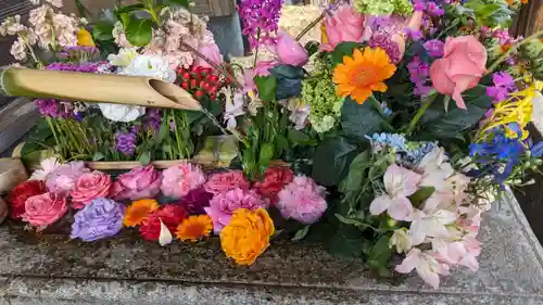 勝林寺(京都府)