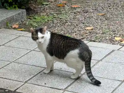蔵前神社(東京都)