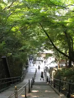 清水寺(京都府)