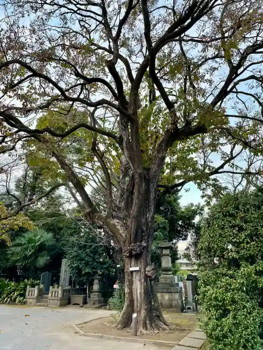 最勝寺教学院(東京都)