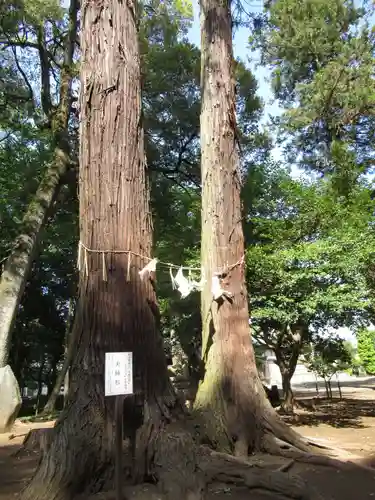 東蕗田天満社の自然
