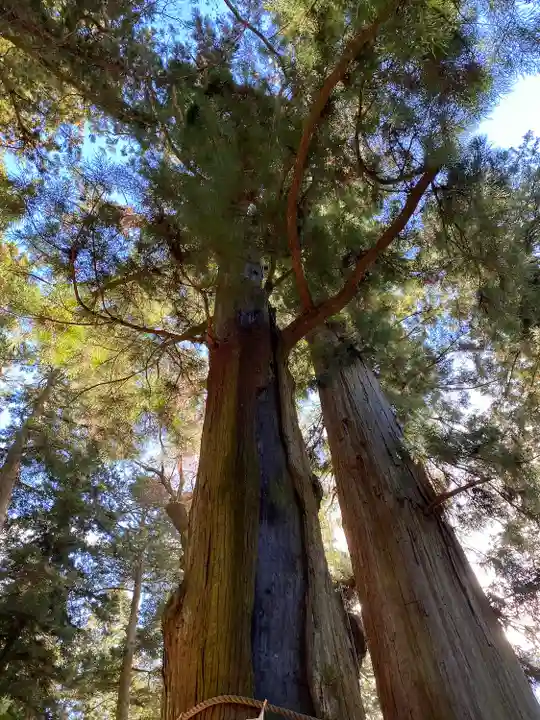 河口浅間神社(山梨県)