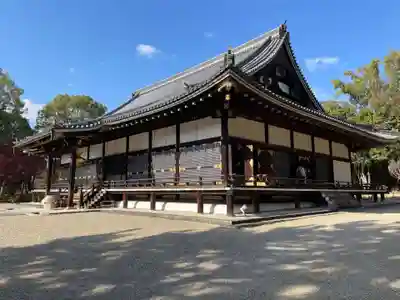 仁和寺(京都府)