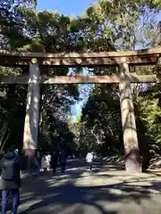 明治神宮の鳥居