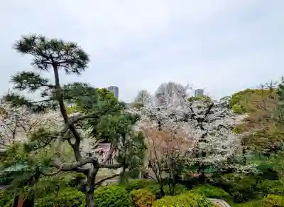 清水観音堂の{uncategorized: "未分類", other: "その他", undefined: "問題あり", building: "その他建物", grave: "お墓", sacred_gate: "鳥居", guardian: "狛犬", statue: "像", buddha: "仏像", history: "歴史", nature: "自然", garden: "庭園", animal: "動物", pagoda: "塔", temizu: "手水舎", mountain_gate: "山門・神門", sanctuary: "本殿・本堂", subordinate: "末社・摂社", art: "芸術", scenery: "景色", jizo: "地蔵", ema: "絵馬", goshuin: "御朱印", omikuji: "おみくじ", items: "授与品その他", amulet: "お守り", goshuincho: "御朱印帳", eats: "食事", festival: "お祭り", votive_dance: "神楽", shichigosan: "七五三参", wedding: "結婚式", experience: "体験その他", initially: "初詣", around: "周辺", anti_infection: "感染症対策"}