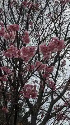 熊野若王子神社(京都府)