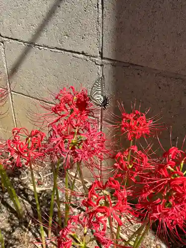 住吉神社(兵庫県)