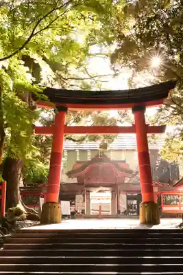 宇佐神宮の鳥居