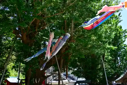 海南神社の体験その他