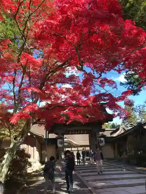 高野山金剛峯寺(和歌山県)