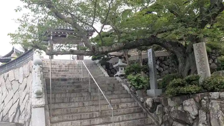 観音寺(香川県)