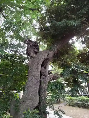 奥澤神社の庭園