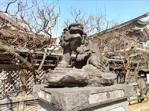 湯島天満宮の狛犬