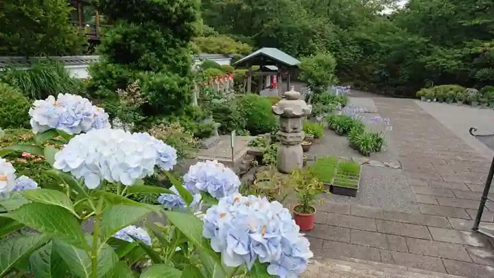 真言宗神道派大本山 宝珠院の自然