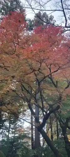 龍潭寺(静岡県)