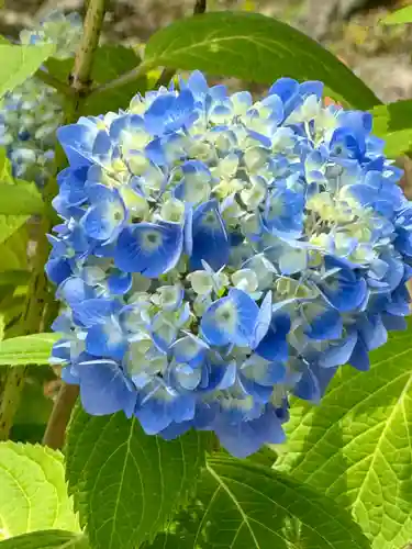 勧修寺(京都府)