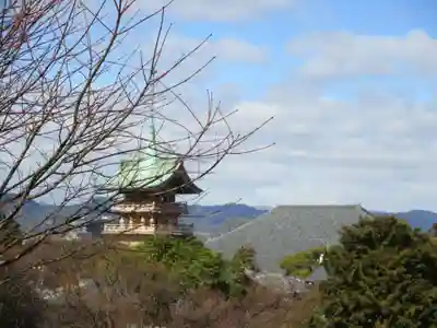 高台寺（高台寿聖禅寺・高臺寺）のその他建物