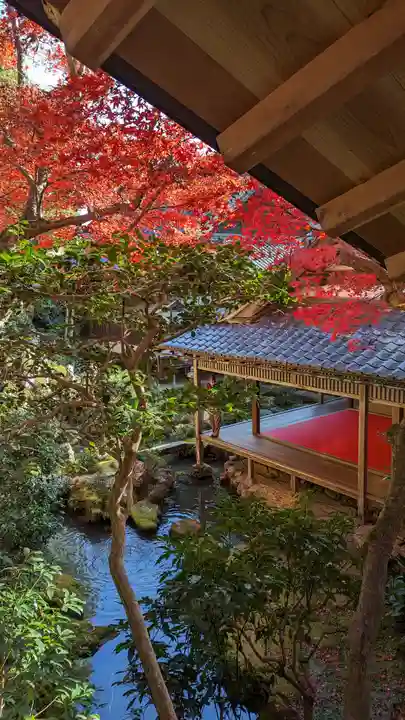 柳谷観音 楊谷寺(京都府)
